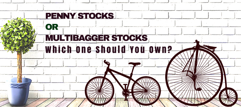 Penny stocks or multibagger stocks - Which one should you own