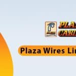 Plaza Wires Limited IPO – Upcoming IPO in India 2023