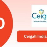 Ceigall India Limited IPO (Ceigall India IPO)